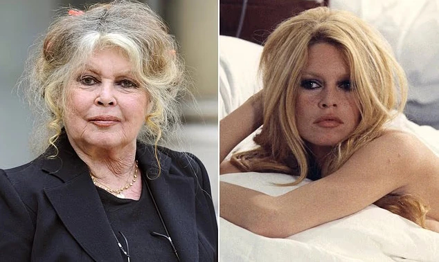 Brigitte Bardot, 91 Yaşında Hayatını Kaybetti