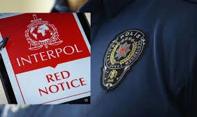 Türkiye'de Mahkeme Hırsızlığı ve Interpol Bülteni
