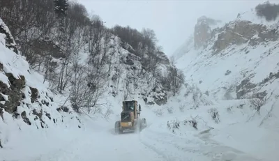 Artvin’de Çığ Felaketi: 3 Çoban Kayıp, Arama Kurtarma Çalışmaları Sürüyor