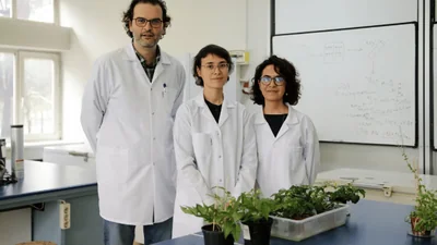 Türk Bilim İnsanları Ay ve Mars Toprağında Domates Yetiştirdi