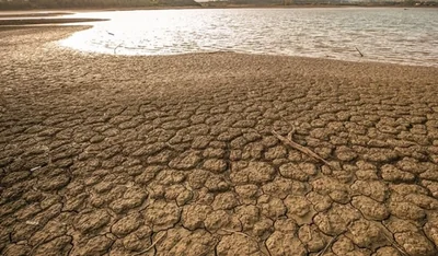 Türkiye Sulak Alan Kaybı: Marmara'dan Daha Fazla