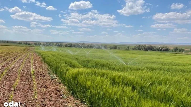 Konya Ovası'nda Akıllı Sulama ile Kuraklıkla Mücadele